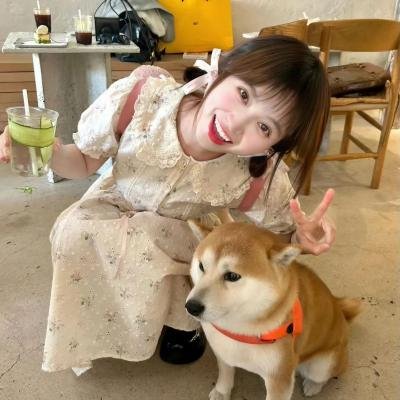 搅局者